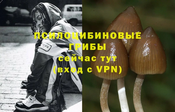 бутик Гусев