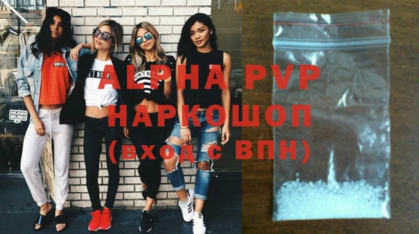 хмурый Дмитров