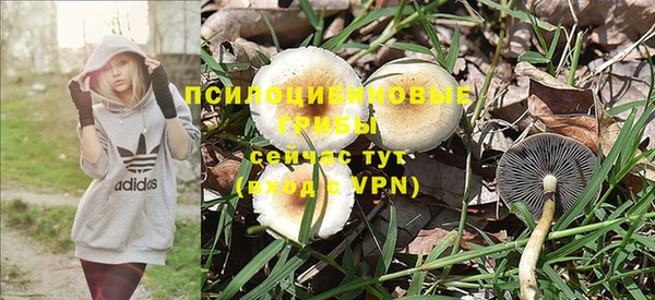 гашиш Гусь-Хрустальный